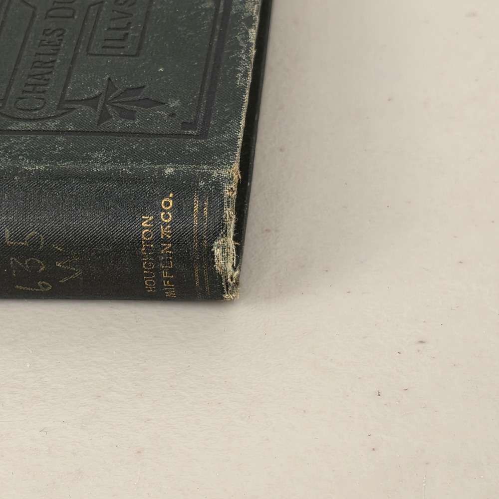 My Summer in a Garden Charles Dudley Warner 1891 Illustrated Darley 40th Edition - Picture 4 of 9